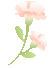 descript