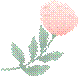 descript